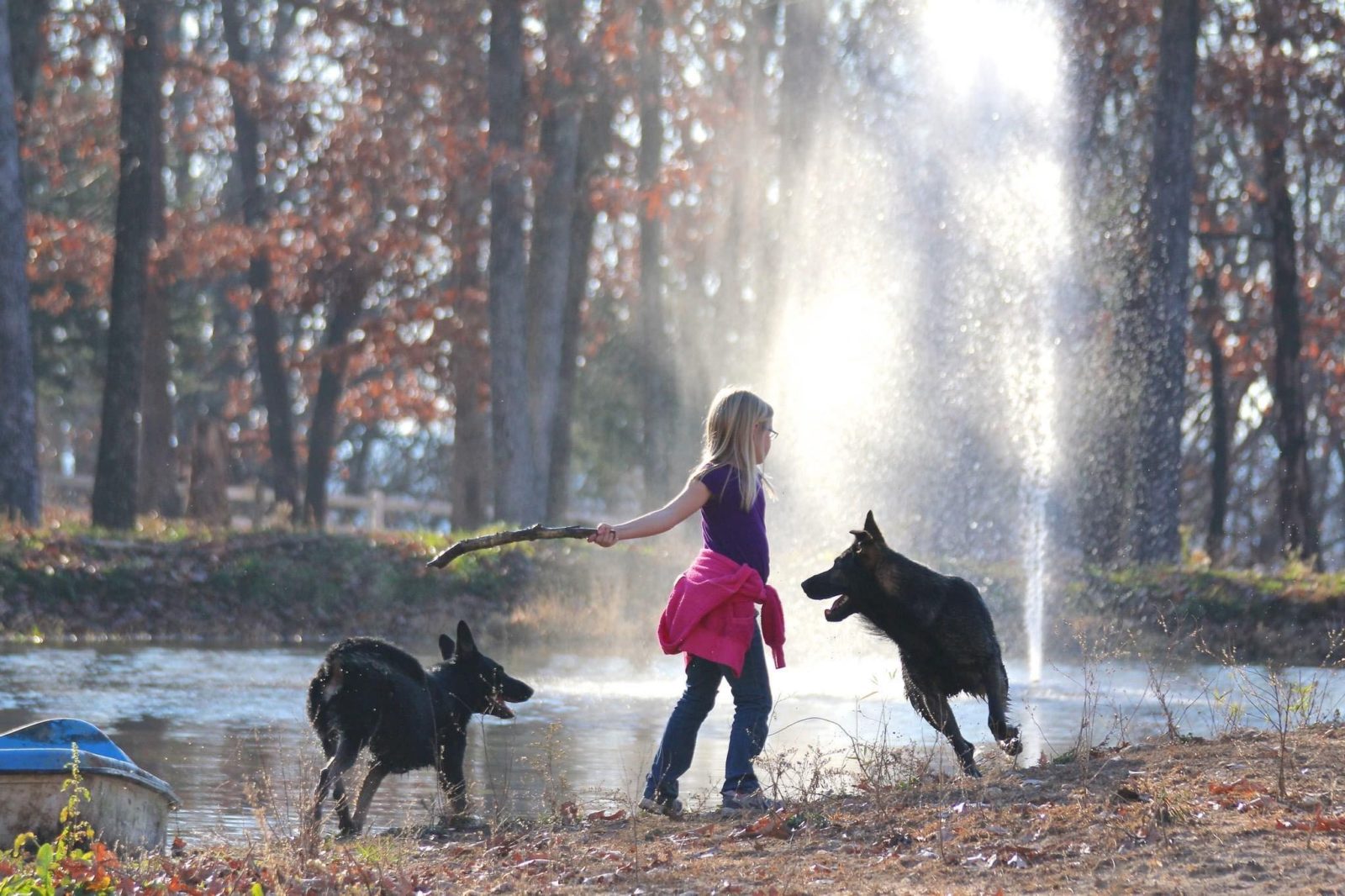 Von Goedehaus German Shepherds: German Shepherd ...